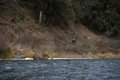 DSC_0196 (Large).JPG